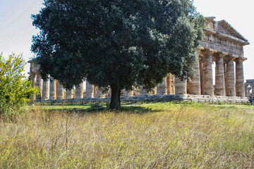 Temple of Neptune