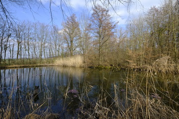 Landschaft und Weinberge bei Castell, Landkreis Kitzingen, Unterfranken, Franken,  Bayern, Deutschland