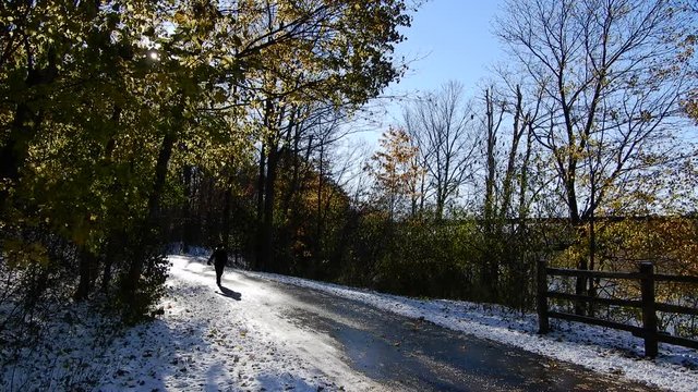 4K Man Walking Down Pathway With Sun Peering Through Branches And Trees With Snow On Ground