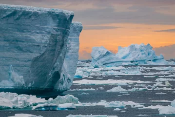 Naadloos Fotobehang Airtex Antarctica Wild frozen landscape, Antarctica  © foto4440