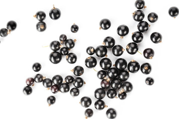 ripe currant isolated