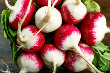 bunch of fresh young radishes