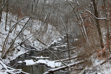 The winding creek in the snowy forest on a cold day.