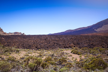 Beautiful landscape of  Teide national park, Tenerife, Canary island, Spain