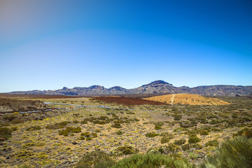 Beautiful landscape of  Teide national park, Tenerife, Canary island, Spain