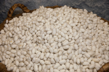 ipek kozaları tekstil ham maddesi © ridvanarda