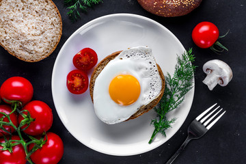 Fried chicken egg on a plate with dill, tomatoes cherry and sesame bun for a healthy breakfast. Protein food. Eggs sandwiches. Top view