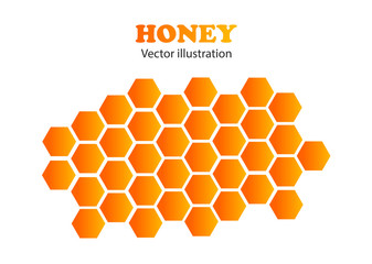 Bee honeycombs. Honey. Vector illustration.