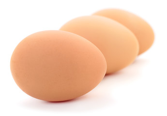 Three chicken eggs.