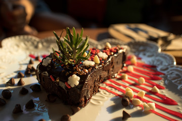Close up view of piece of chocolate cake on plate