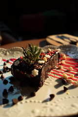 piece of chocolate cake on plate