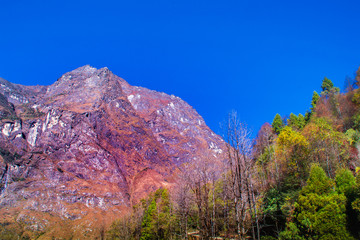 Tree line growing high to cross the mountain peak 