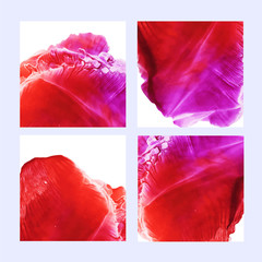 Collection of post template with abstract watercolor shapes. Set of colorful pink and red ink illustrated squares.