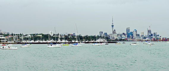 Fototapeta premium Auckland, New Zealand harbor panorama 