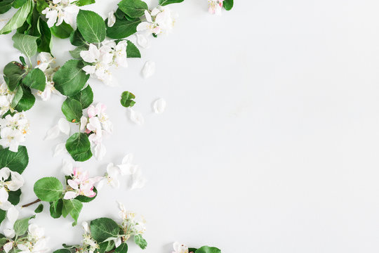 Fototapeta Flowers composition. Apple tree flowers on pastel gray background. Spring concept. Flat lay, top view, copy space