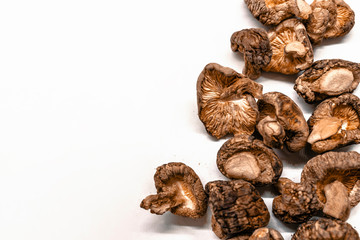 Dry Mushrooms isolated on white background.