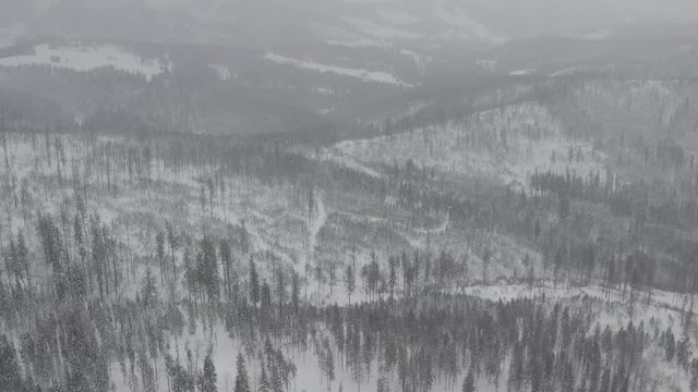 Winter scenery in Silesian Beskids mountains. View from above. DJI Mavic 2 Pro 4k dlog-m ungraded flat.