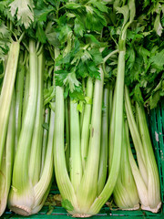 Fresh raw celery on marketplace