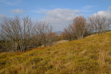 Wasserkuppe und  Pferdskopf in der Rhön im Herbst, Biosphärenreservat Rhön, Hessen, Deutschland