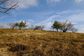 Wasserkuppe und  Pferdskopf in der Rhön im Herbst, Biosphärenreservat Rhön, Hessen, Deutschland