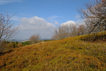 Fototapeta premium Wasserkuppe und Pferdskopf in der Rhön im Herbst, Biosphärenreservat Rhön, Hessen, Deutschland