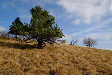 Wasserkuppe und  Pferdskopf in der Rhön im Herbst, Biosphärenreservat Rhön, Hessen, Deutschland