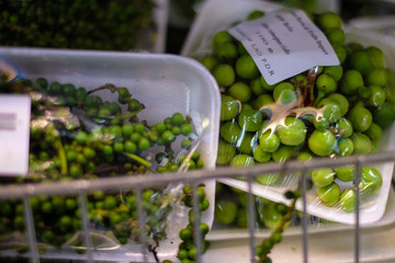 Eating to buy in a Vietnamese supermarket
