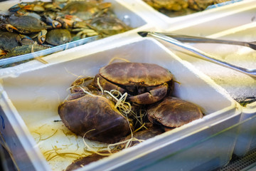 Eating to buy in a Vietnamese supermarket