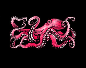 Pink Octopus with tentacles. Watercolor illustration on black background. Tattoo sketch 