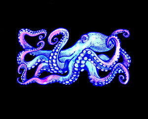 Blue Octopus with tentacles. Watercolor illustration on black background. Tattoo sketch