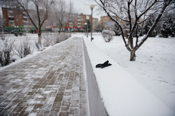 The lost black glove lies on the snow