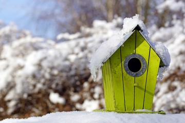 gelber nistkasten im winter