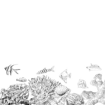 Seabed inhabitants fish and corals. Sea and ocean sketch backgrounds, hand drawn vector illustration.