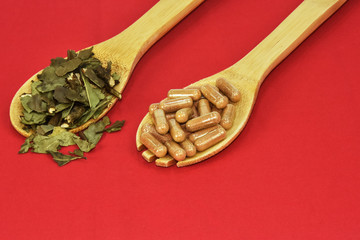 Herbal green tea capsule for healthy lifestyle. Herbal capsules from ginger. Close up Green capsules. Dietary supplements for Weight Loss and detox.