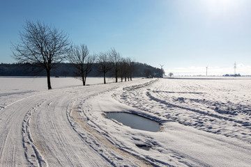 Fototapete bei efototapeten.de bestellen   