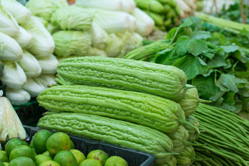 Green bitter gourd in market.Ivy gourd