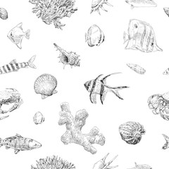 Seamless hand drawn seashells, fish, crabs, corals pattern backgrounds. Marine theme wallpaper. Vector illustration.