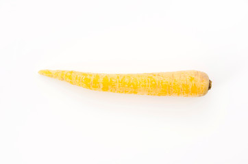 島にんじん