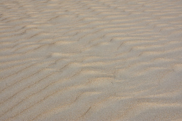 Fototapeta na wymiar Fine sand and wind drawings