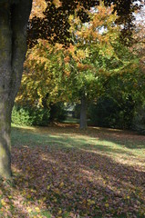 Naklejka premium Herbst