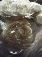 bouquet of white peonies in a vase on the wooden table background
