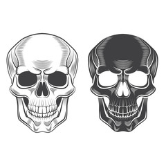 Skull monochrome isolated on white vector illustration