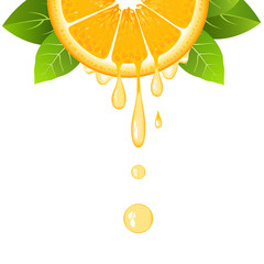 Realistic half orange slice with leaves and drops of juice. Juicy fruit. Fresh citrus design on white background vector illustration