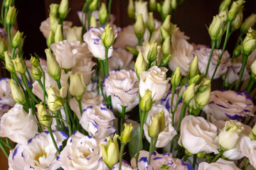 Obraz na płótnie Canvas White and blue lisianthus flowers bouquet