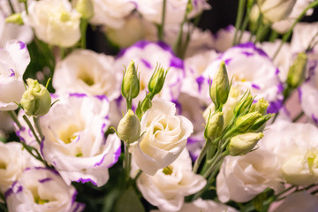 White and pink lisianthus flowers bouquet