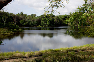 Serena laguna en el parque  la llovizna guayana venezuela