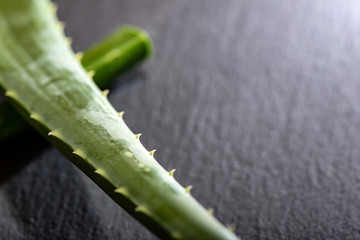 Aloe vera slices on dark background. Health and beauty concept.