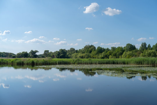 A pond in summer, Khmelnytskyi region, Ukraine