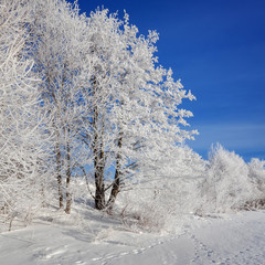 Winter landscape on a clear frosty day overlooking the banks of the Volga River. Frosty fog obscures the banks of the river. The tops of the trees are covered with hoarfrost.