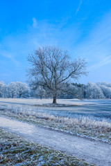 Winterlandschaft